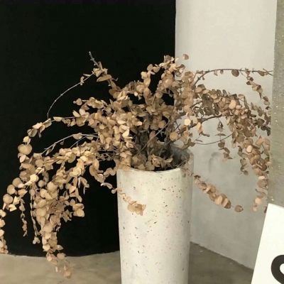 兽设原创构思技巧福瑞交流群